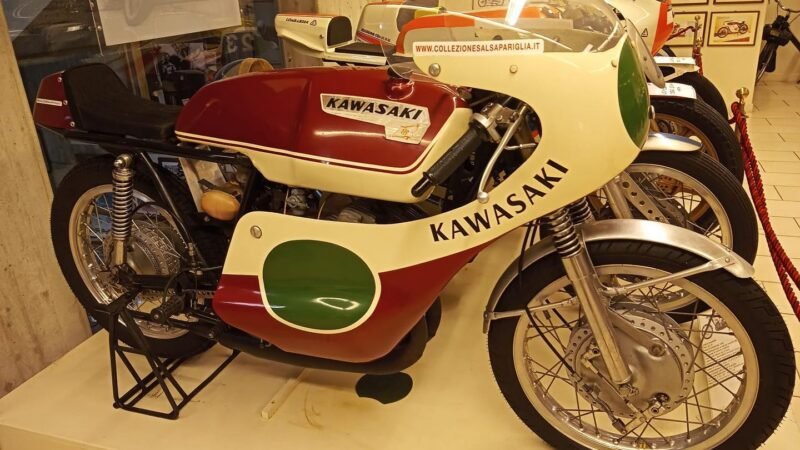 Salsapariglia Collection