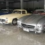 ฟาร์มโชคชัย