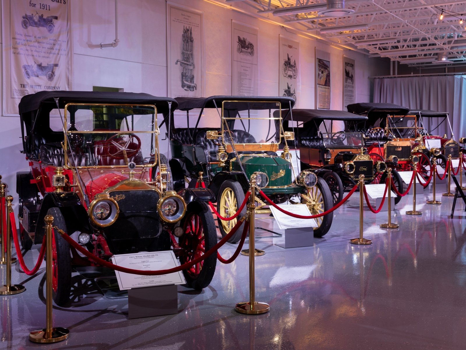 Collection on Palmetto