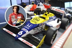 Parque Dream Car Expands With New Formula 1 Museum